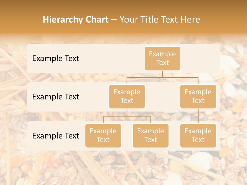 Vegetarian Shelled Rice PowerPoint Template
