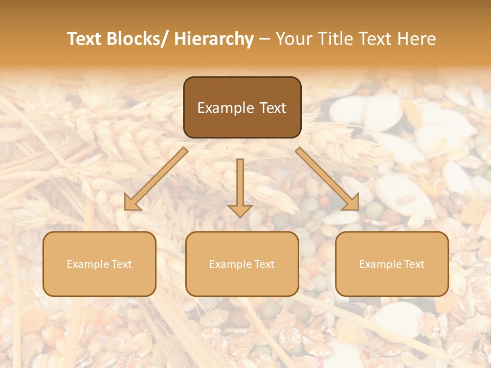 Vegetarian Shelled Rice PowerPoint Template