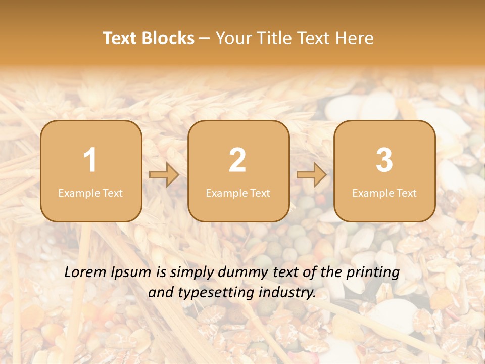 Vegetarian Shelled Rice PowerPoint Template