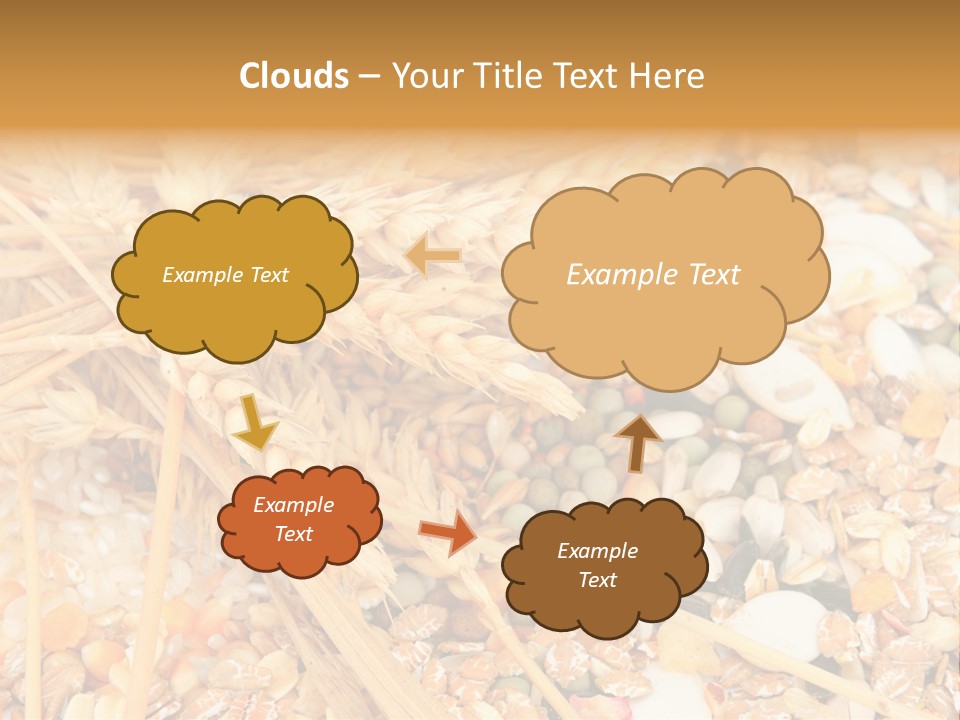 Vegetarian Shelled Rice PowerPoint Template