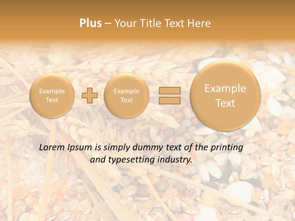 Vegetarian Shelled Rice PowerPoint Template