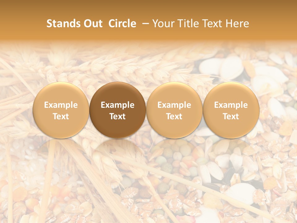 Vegetarian Shelled Rice PowerPoint Template