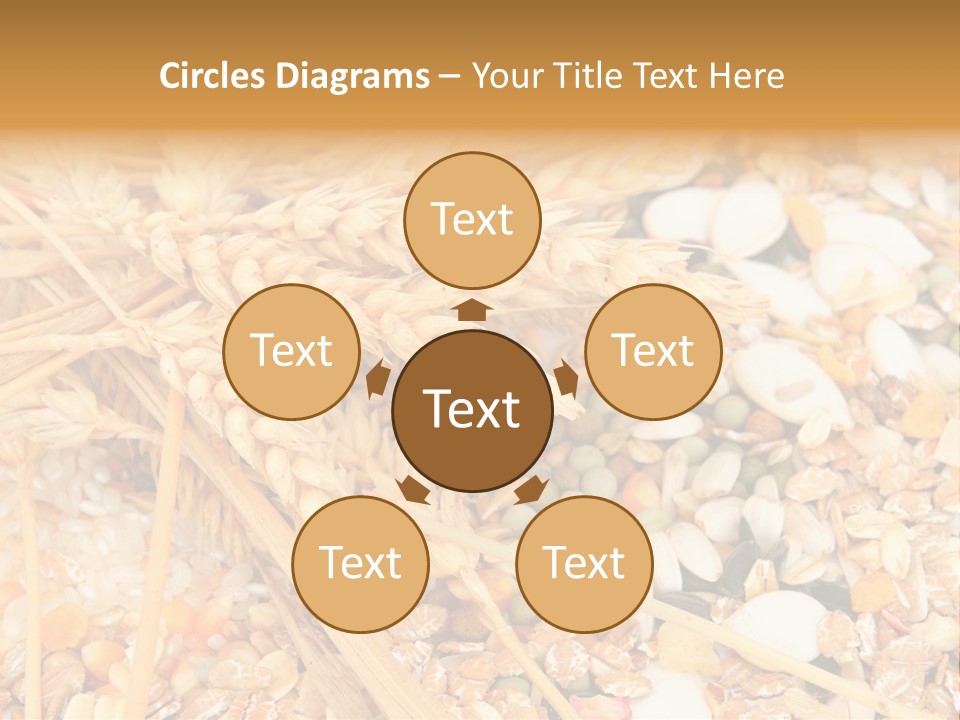 Vegetarian Shelled Rice PowerPoint Template