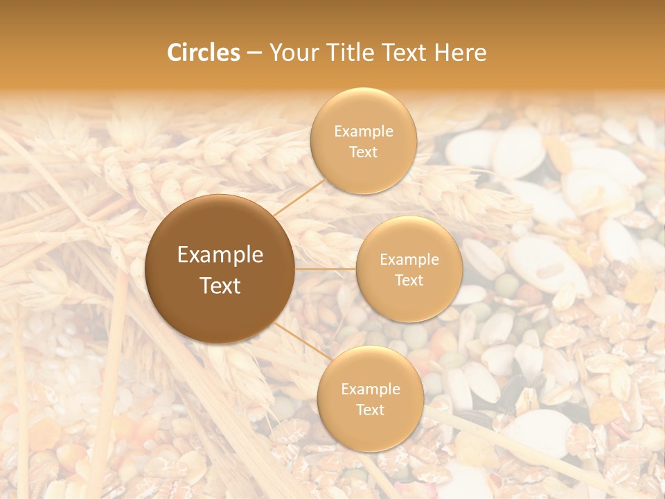 Vegetarian Shelled Rice PowerPoint Template