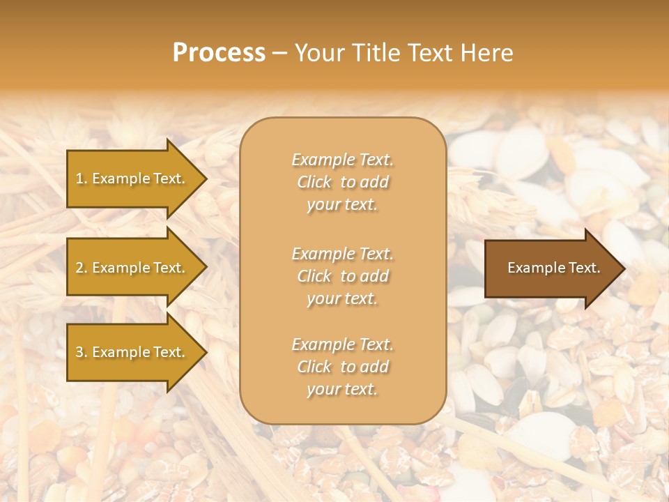 Vegetarian Shelled Rice PowerPoint Template
