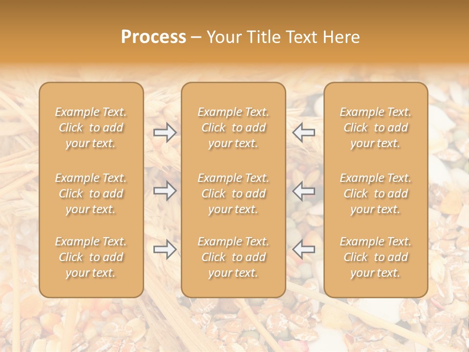 Vegetarian Shelled Rice PowerPoint Template
