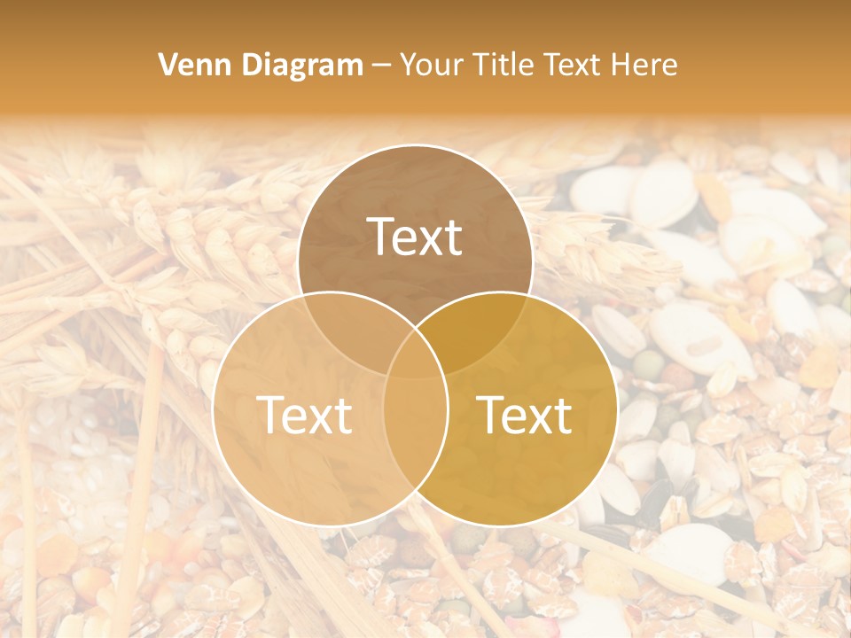 Vegetarian Shelled Rice PowerPoint Template