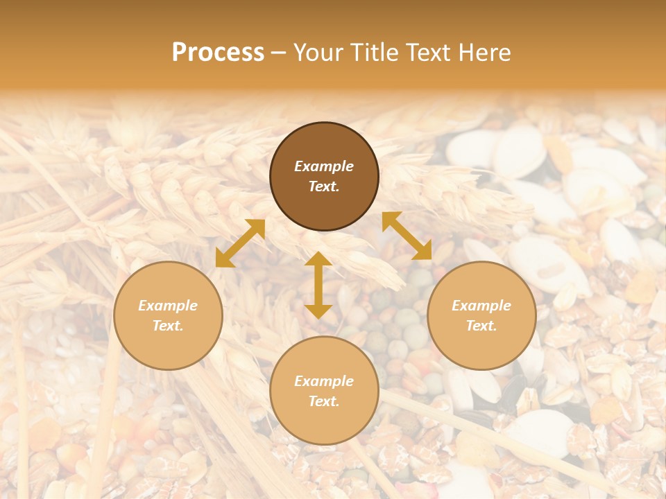 Vegetarian Shelled Rice PowerPoint Template