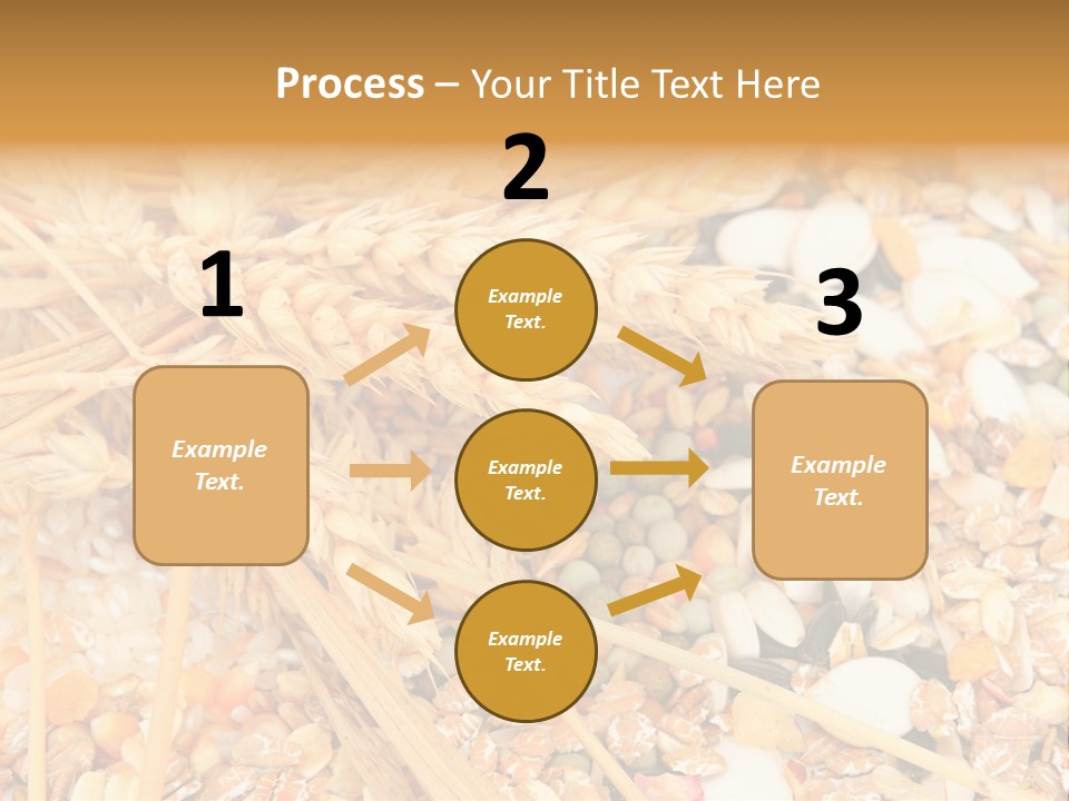 Vegetarian Shelled Rice PowerPoint Template