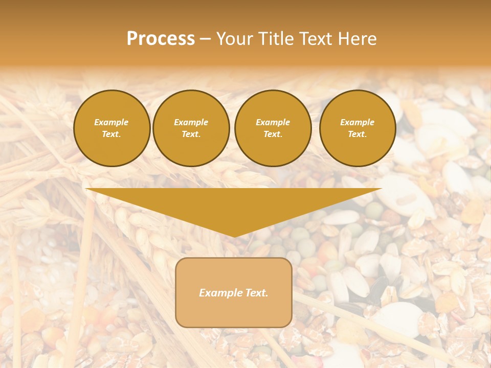 Vegetarian Shelled Rice PowerPoint Template