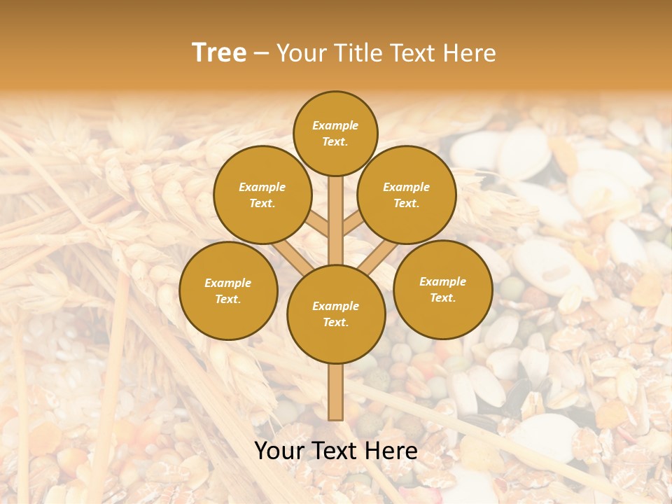 Vegetarian Shelled Rice PowerPoint Template