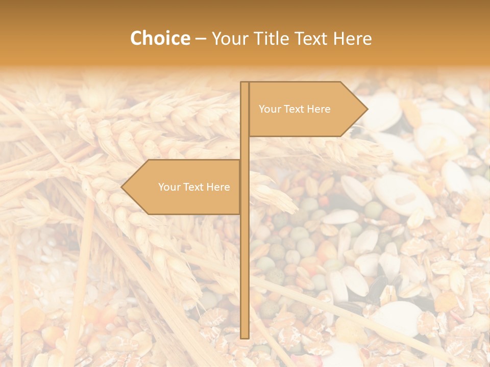 Vegetarian Shelled Rice PowerPoint Template