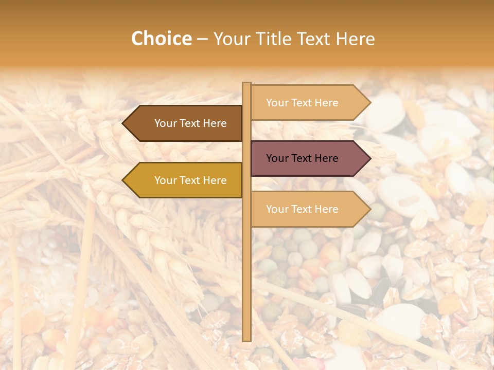 Vegetarian Shelled Rice PowerPoint Template