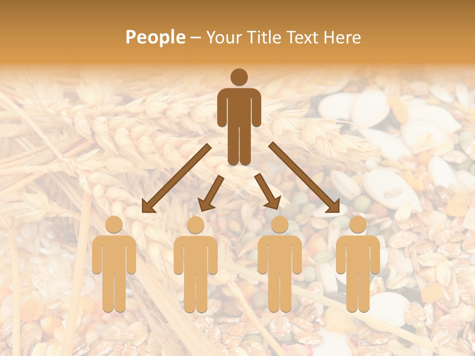 Vegetarian Shelled Rice PowerPoint Template