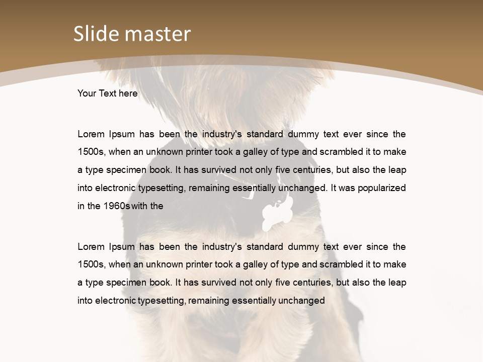 A Small Dog Sitting In Front Of A White Background PowerPoint Template