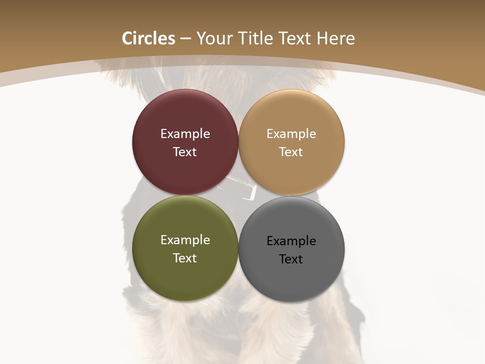 A Small Dog Sitting In Front Of A White Background PowerPoint Template