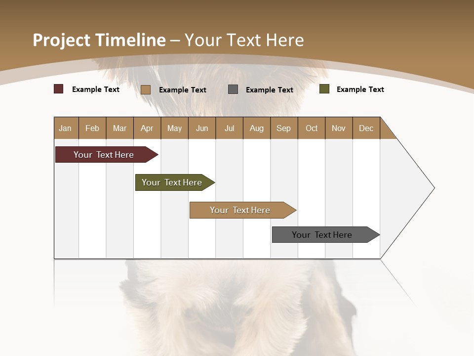 A Small Dog Sitting In Front Of A White Background PowerPoint Template