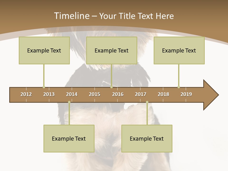 A Small Dog Sitting In Front Of A White Background PowerPoint Template