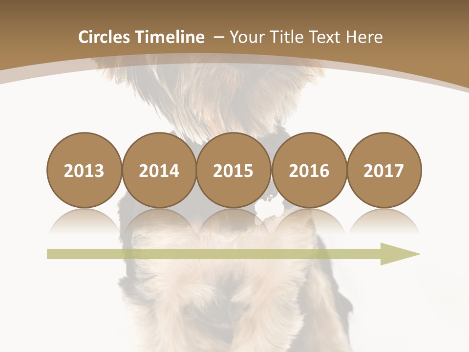 A Small Dog Sitting In Front Of A White Background PowerPoint Template