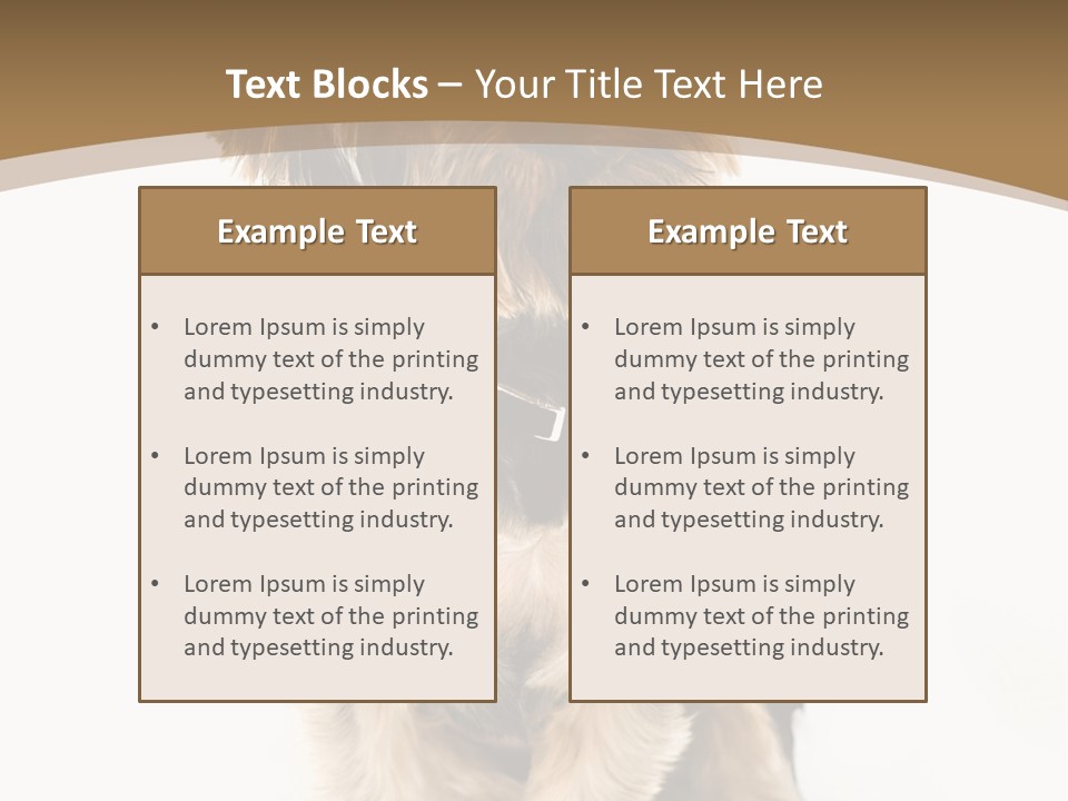 A Small Dog Sitting In Front Of A White Background PowerPoint Template