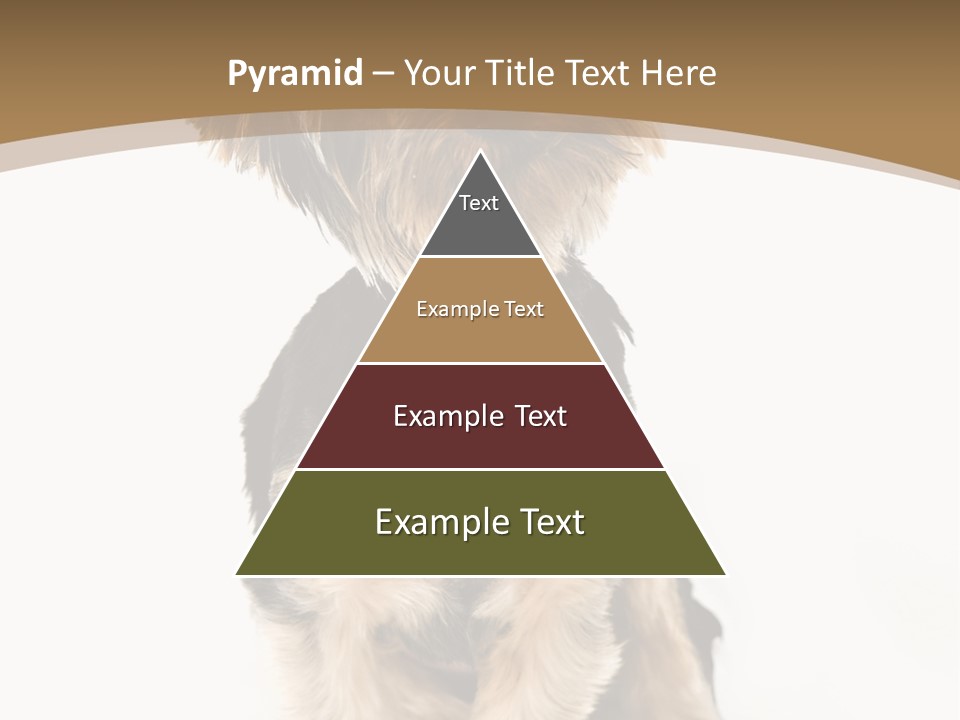 A Small Dog Sitting In Front Of A White Background PowerPoint Template