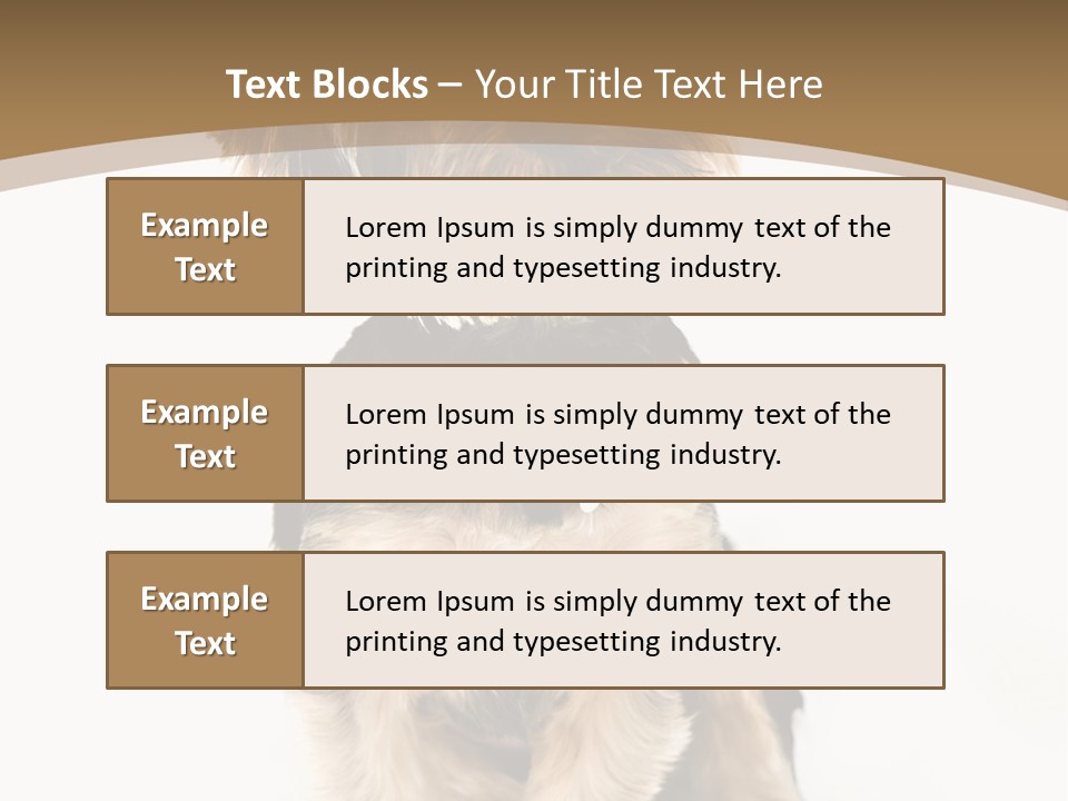 A Small Dog Sitting In Front Of A White Background PowerPoint Template