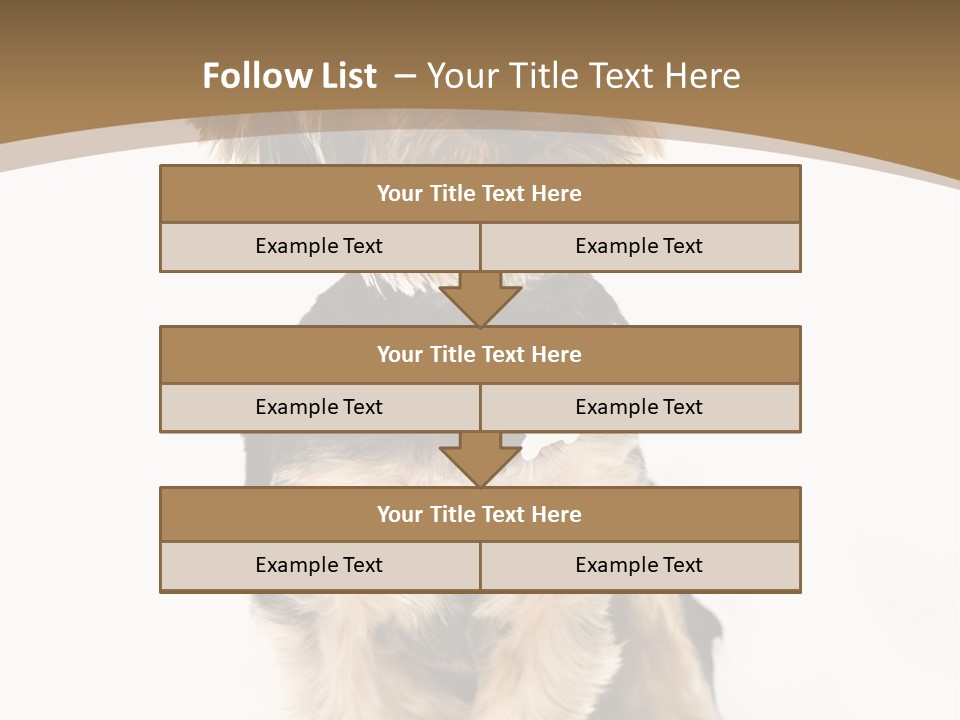 A Small Dog Sitting In Front Of A White Background PowerPoint Template