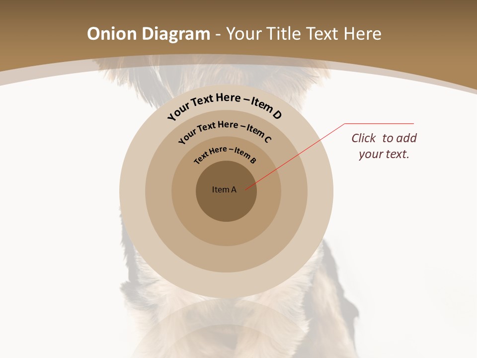 A Small Dog Sitting In Front Of A White Background PowerPoint Template