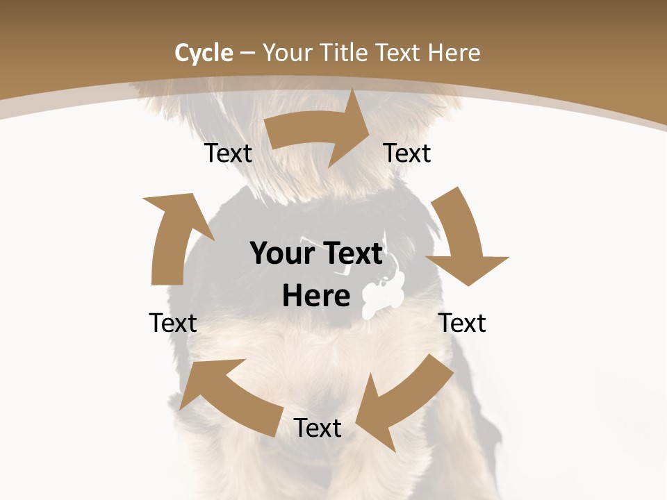 A Small Dog Sitting In Front Of A White Background PowerPoint Template