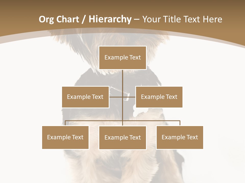 A Small Dog Sitting In Front Of A White Background PowerPoint Template