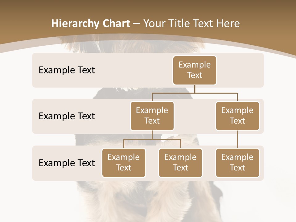 A Small Dog Sitting In Front Of A White Background PowerPoint Template