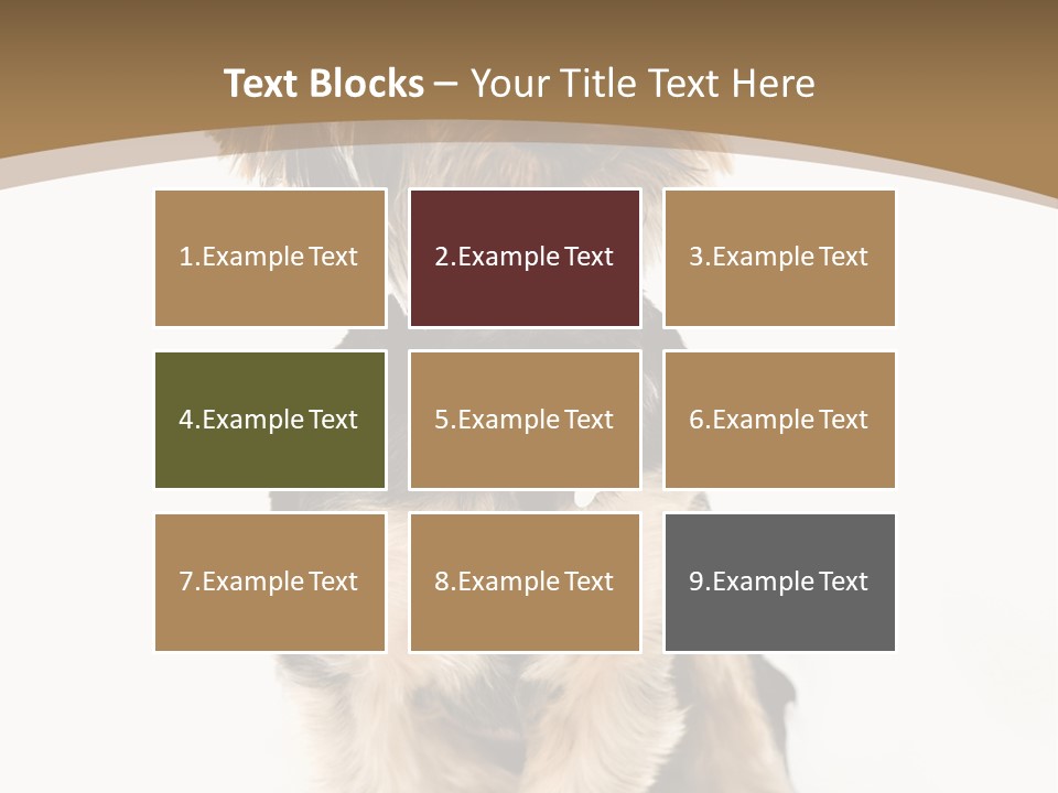 A Small Dog Sitting In Front Of A White Background PowerPoint Template