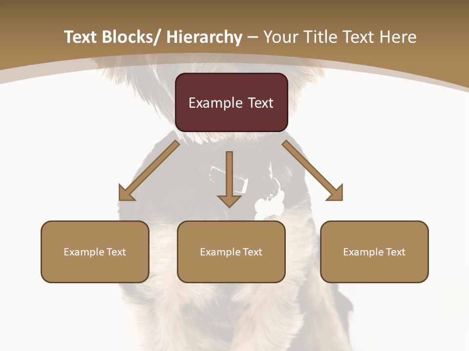 A Small Dog Sitting In Front Of A White Background PowerPoint Template