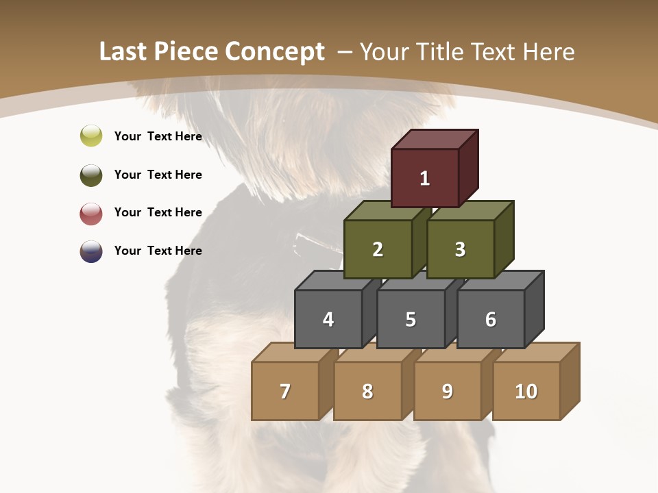 A Small Dog Sitting In Front Of A White Background PowerPoint Template