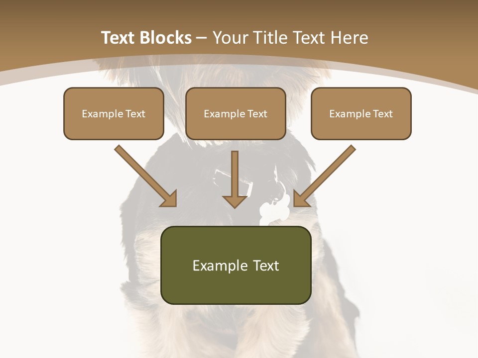 A Small Dog Sitting In Front Of A White Background PowerPoint Template