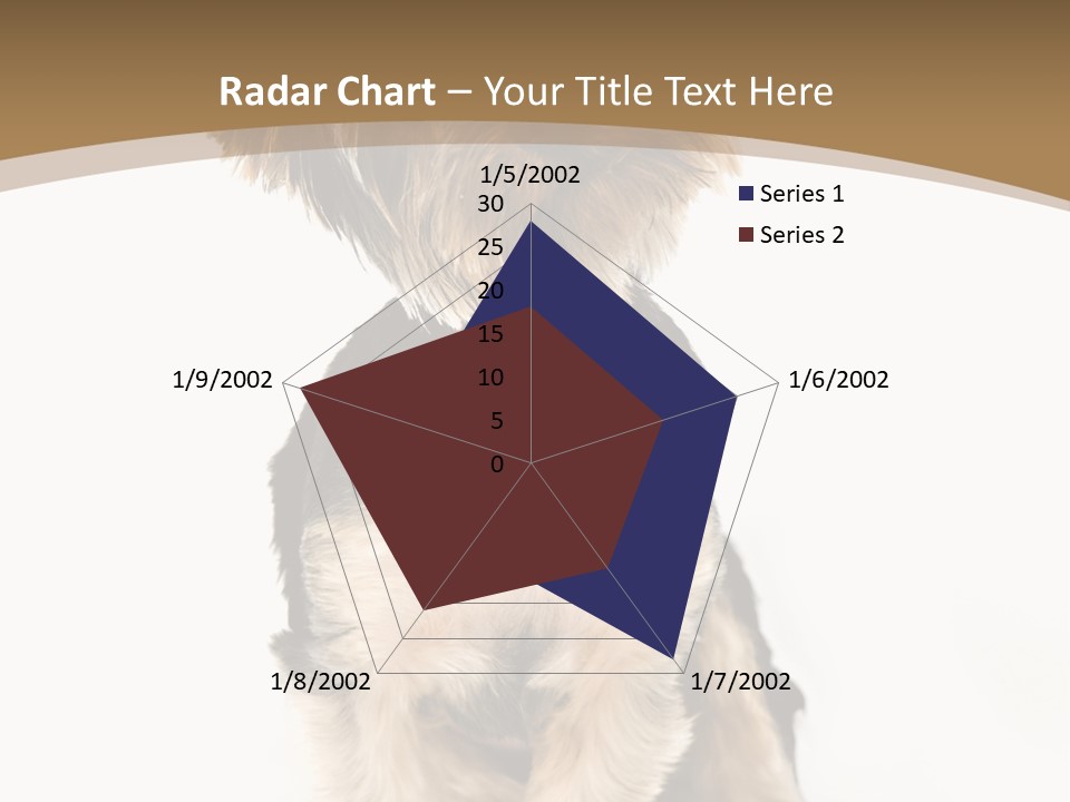 A Small Dog Sitting In Front Of A White Background PowerPoint Template