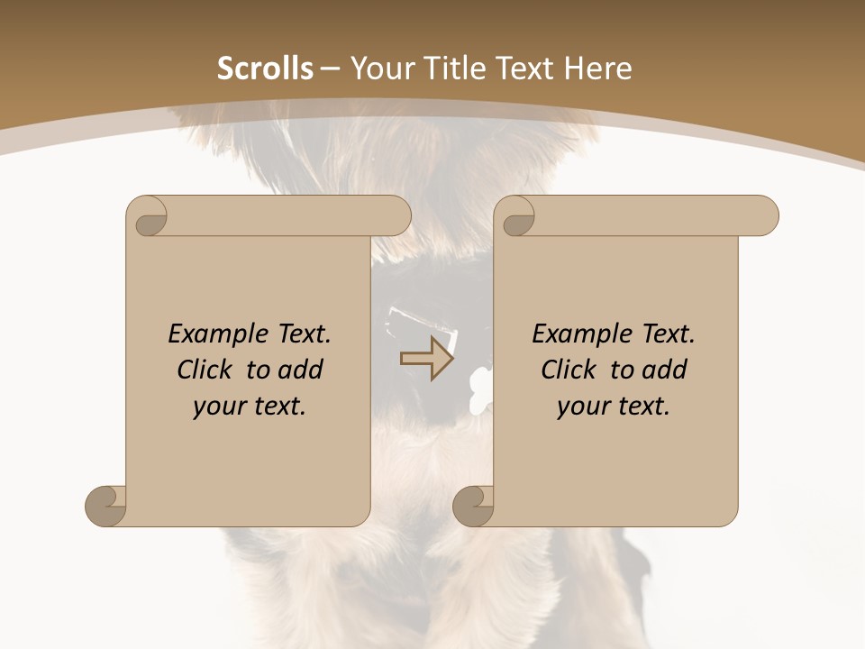 A Small Dog Sitting In Front Of A White Background PowerPoint Template