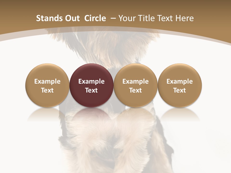 A Small Dog Sitting In Front Of A White Background PowerPoint Template