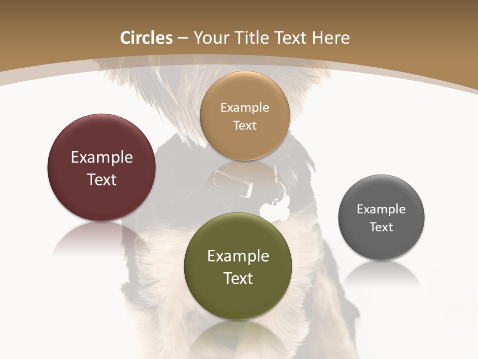 A Small Dog Sitting In Front Of A White Background PowerPoint Template