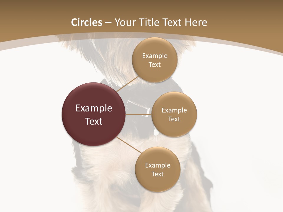 A Small Dog Sitting In Front Of A White Background PowerPoint Template