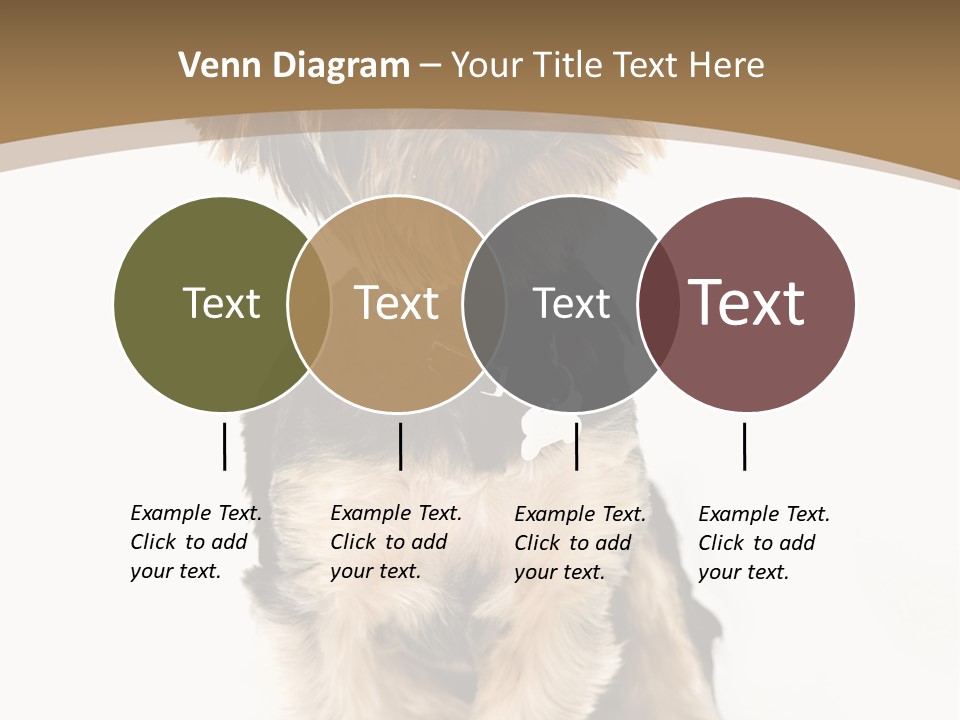 A Small Dog Sitting In Front Of A White Background PowerPoint Template