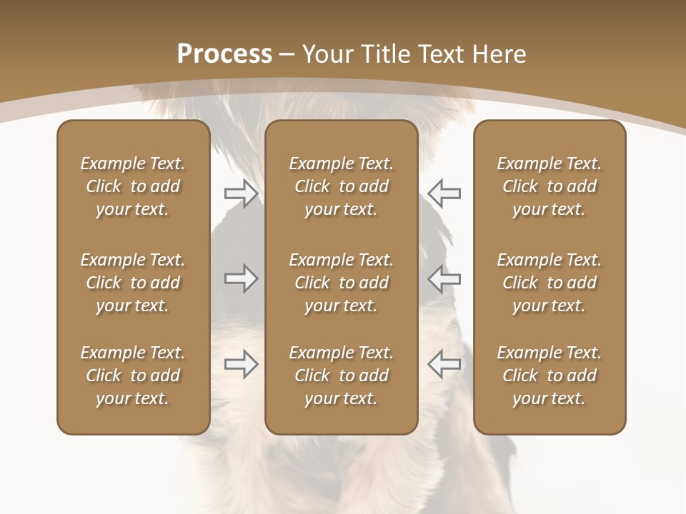 A Small Dog Sitting In Front Of A White Background PowerPoint Template