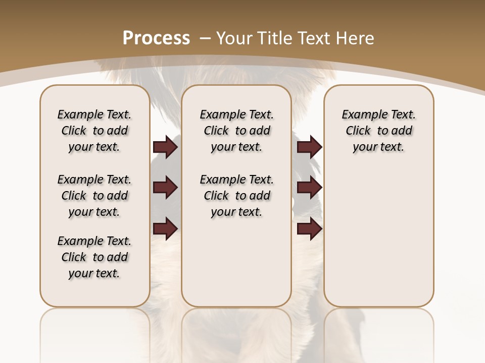 A Small Dog Sitting In Front Of A White Background PowerPoint Template