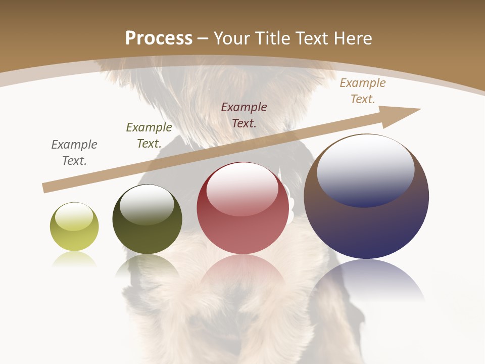 A Small Dog Sitting In Front Of A White Background PowerPoint Template