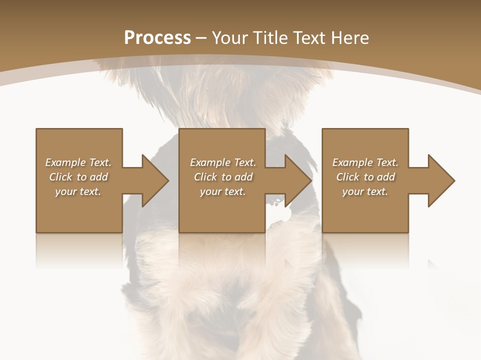 A Small Dog Sitting In Front Of A White Background PowerPoint Template