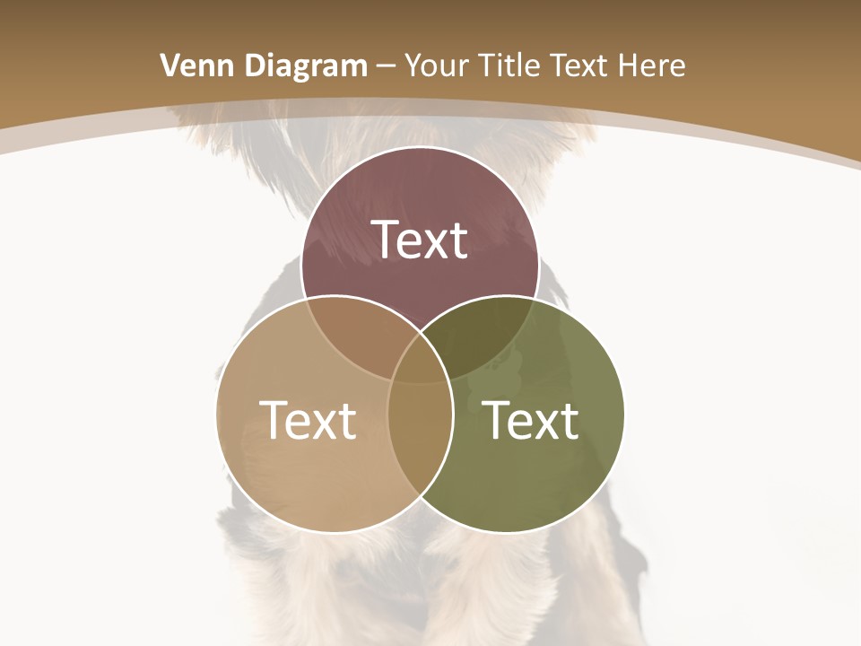 A Small Dog Sitting In Front Of A White Background PowerPoint Template