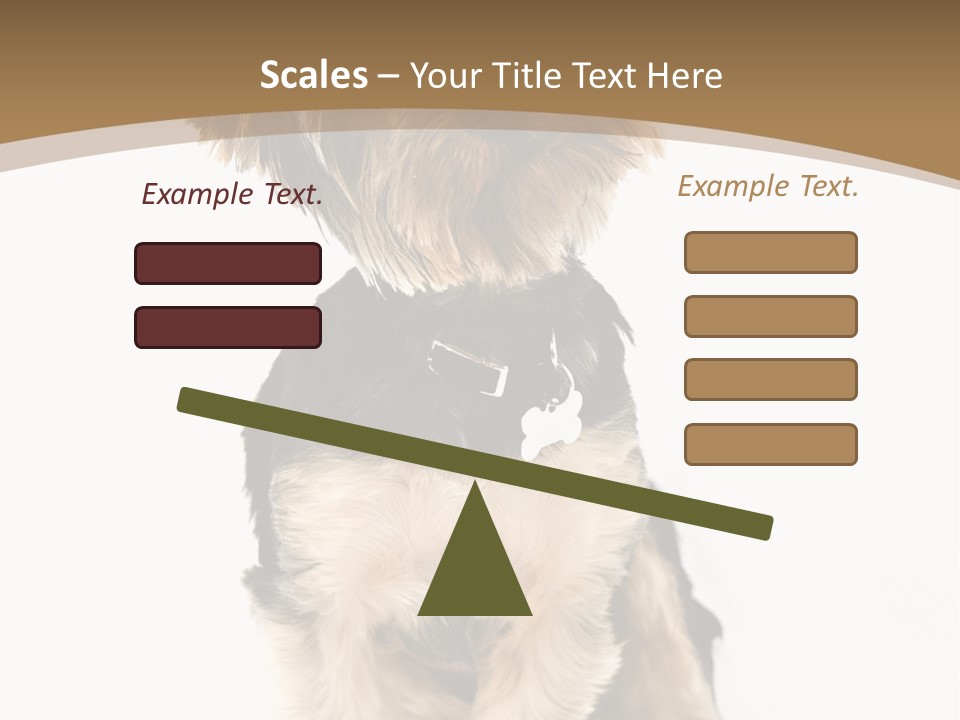 A Small Dog Sitting In Front Of A White Background PowerPoint Template