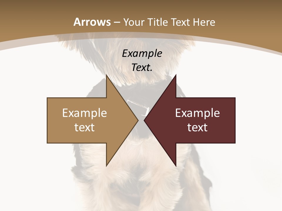 A Small Dog Sitting In Front Of A White Background PowerPoint Template