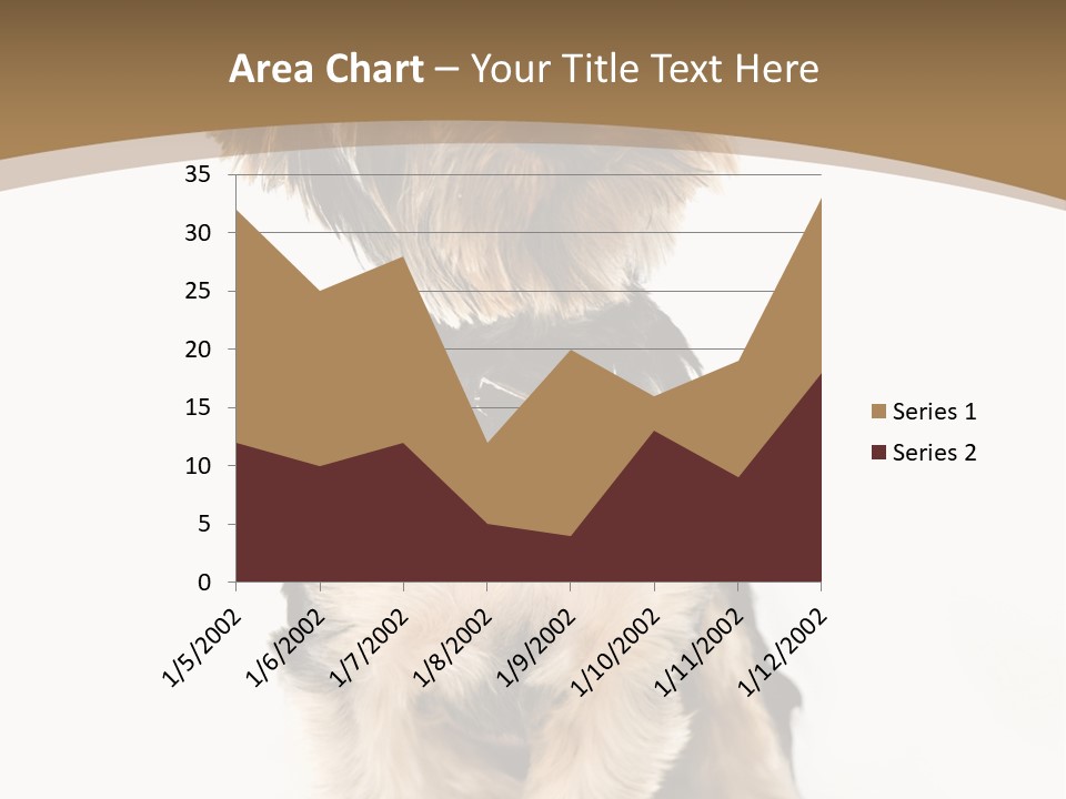 A Small Dog Sitting In Front Of A White Background PowerPoint Template