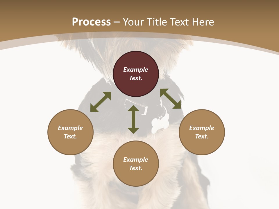 A Small Dog Sitting In Front Of A White Background PowerPoint Template